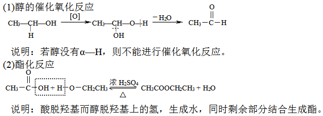 久久毛片免费一区二区三：危险化学品的隐形威胁：从日常生活到工