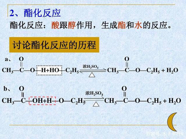 抗氧化剂：守护健康的天然力量