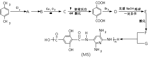 抗氧化剂：守护健康的天然力量